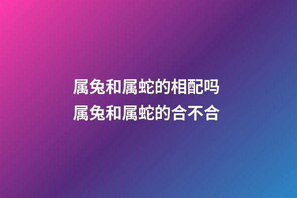 属兔和属蛇的相配吗 属兔和属蛇的合不合-第1张-观点-玄机派